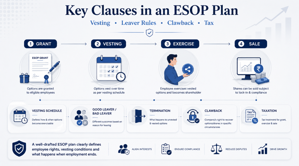 ESOP lifecycle showing grant, vesting, exercise, sale, leaver provisions, clawback and taxation