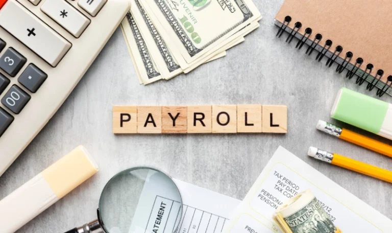 C. Payroll Compliance Restructuring Under the New Labour Codes